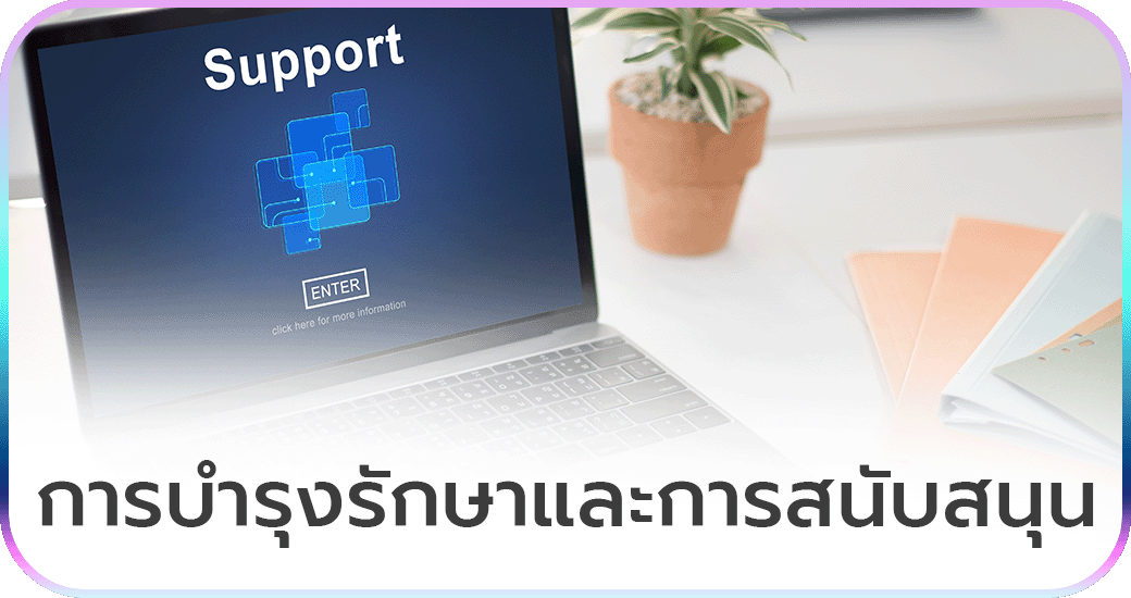 การบำรุงรักษาและการสนับสนุน